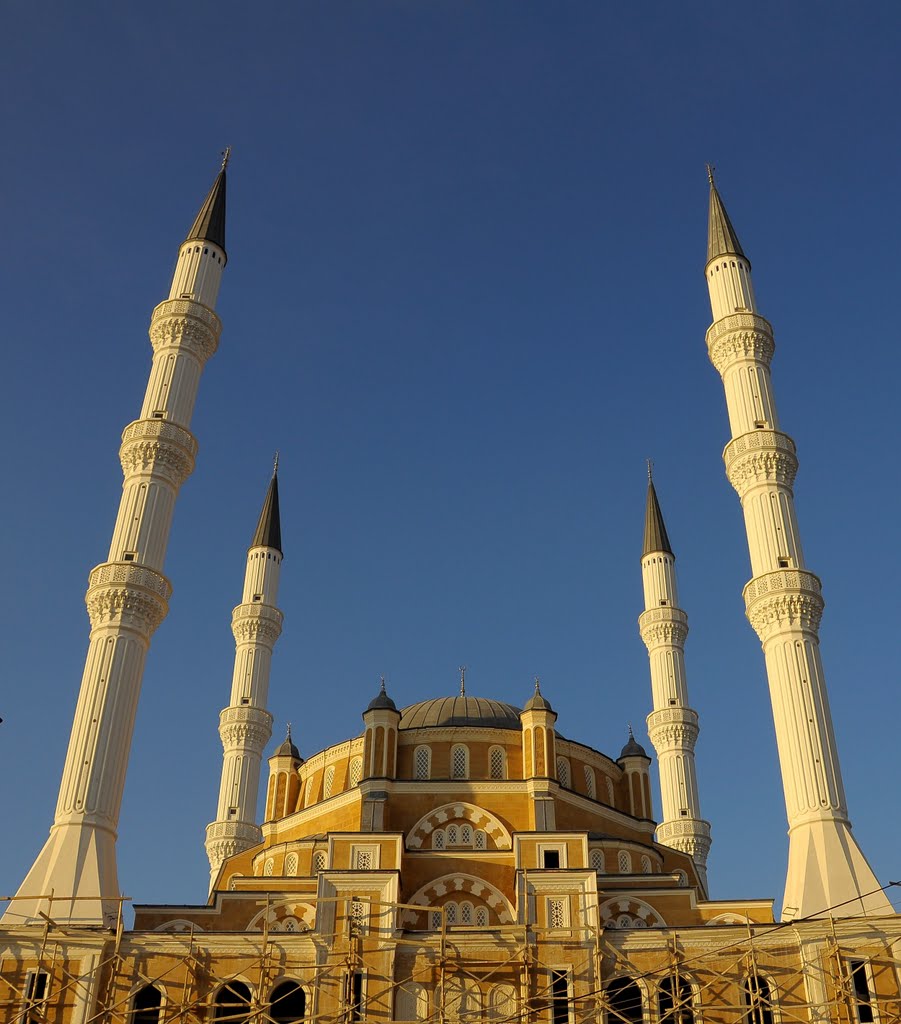 21-CORUM-CAMII-01 - Görsel 2